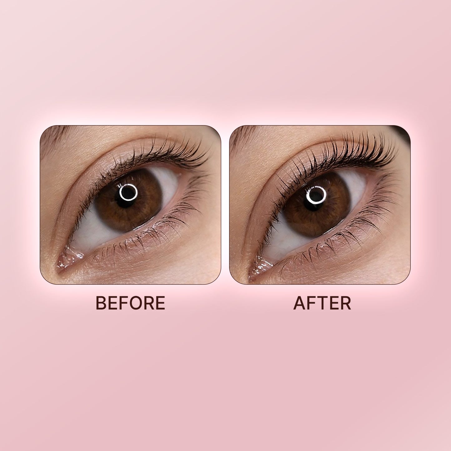 LashPLEX 2.0 Lash Care Kit